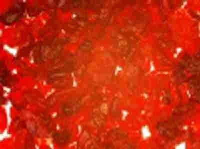 Cranberries Trockenfrüchte, Cranberry, 180g, OHNE ZUCKERZUSATZ, für Salat, Soßen, Müsli, Backen, Naschen, Wildgerichte, ohne Schwefel