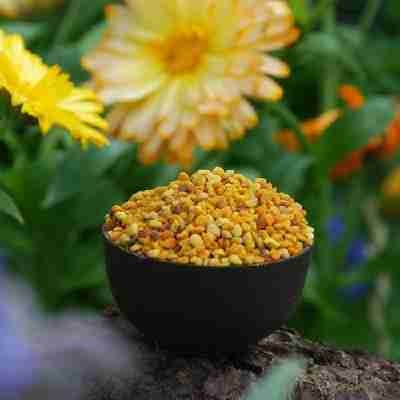 Hochaktive spanische Blütenpollen