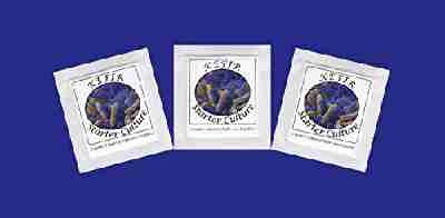 Kefir Starter Culture - Pack of 3 Freeze Dried Sachets